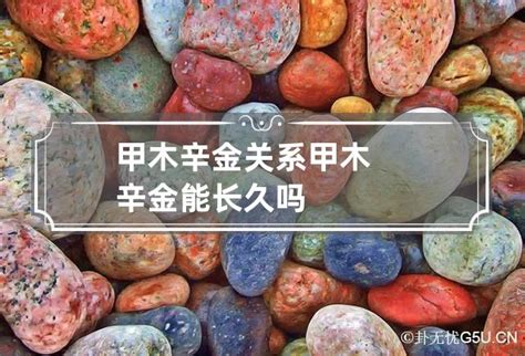 甲木 辛金|很多人都持一个观点：辛金克不动甲木